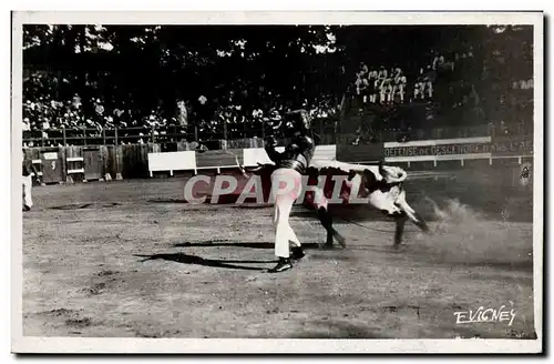 Cartes postales Corrida Course de taureaux Au pays Landais Courses landaises L&#39ecart