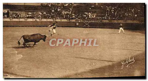 Cartes postales Corrida Course de taureaux Courses landaises Ecarteur sautant la vache