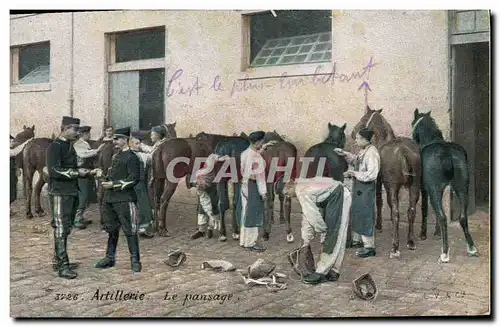 Cartes postales Militaria Artillerie Le pansage Cheval