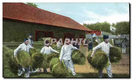 Cartes postales Militaria Artillerie Le fourrage