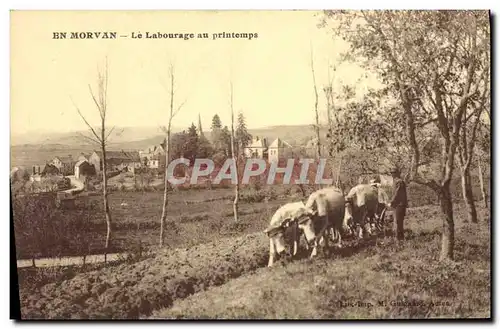 Ansichtskarte AK Folklore En Morvan Le labourage du printemps Boeufs