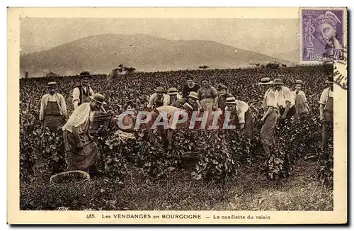 Ansichtskarte AK Folklore Les vendanges en Bourgogne La cueillette du raisin