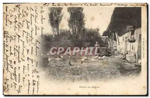 Cartes postales Folklore Ferme de Bresse Poules