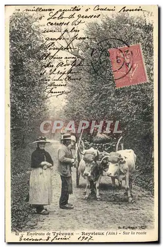 Cartes postales Folklore Environs de Trevous Reyrieux Sur la route Boeufs