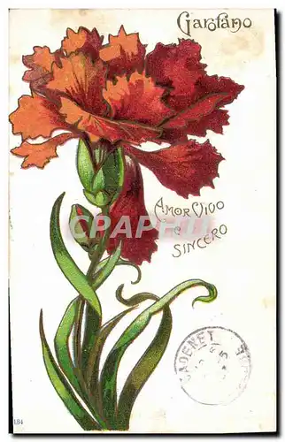 Cartes postales Fantaisie Fleurs