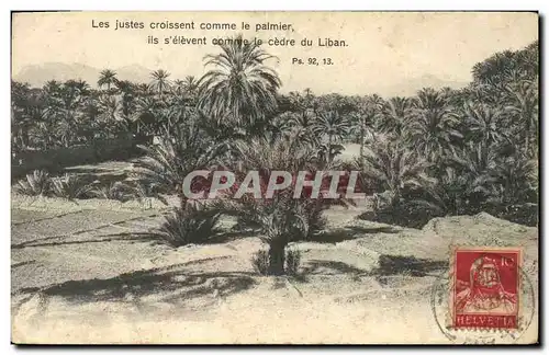 Cartes postales Arbre Arbres Cedre du Liban