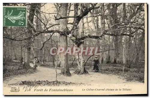 Ansichtskarte AK Arbre Foret de Fontainebleau Le Chene charme Futaie de la Tillaie