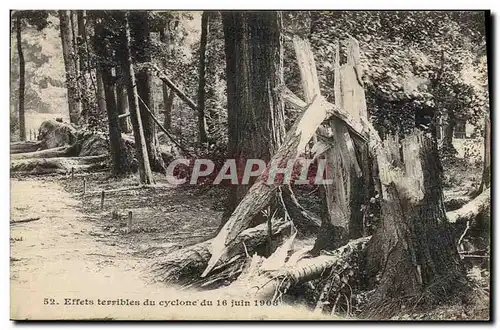 Ansichtskarte AK Arbre Paris Bois de Vincennes Effets terribles du cyclone du 16 juin 1908