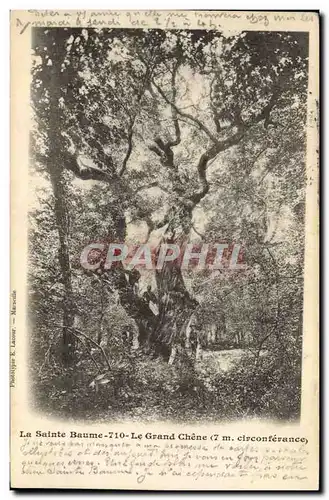 Cartes postales Arbre La Sainte Baume Le grand chene