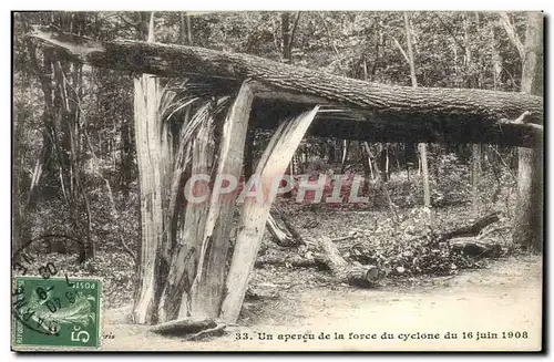 Cartes postales Arbre Paris Bois de Vincennes Un apercu de la force du cyclone du 16 juin 1908