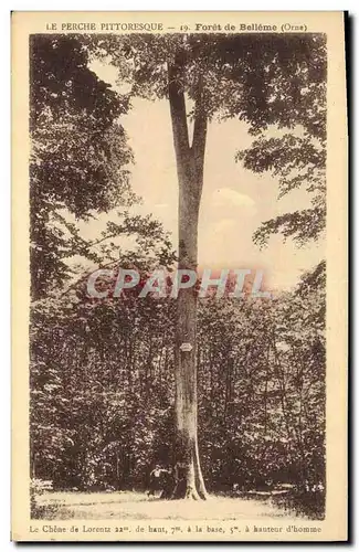 Cartes postales Arbre Le chene de Lorentz Foret de Belleme Orne