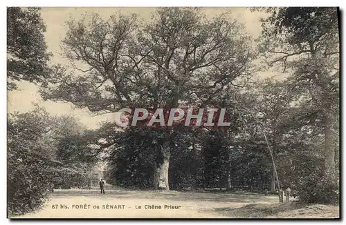 Cartes postales Arbre Foret de Senart Le chene Prieur