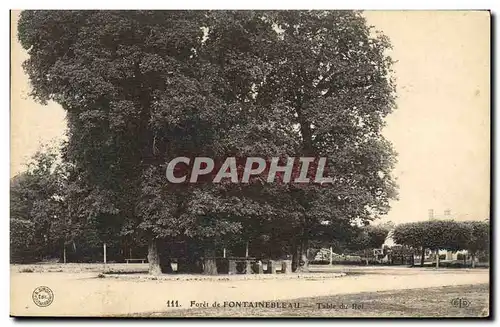 Ansichtskarte AK Arbre Foret de Fontainebleau Table du roi