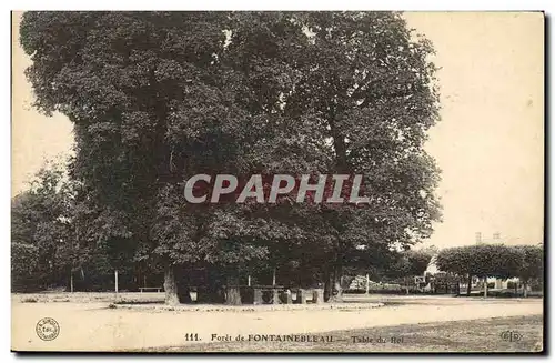 Cartes postales Arbre Foret de Fontainebleau Table du roi
