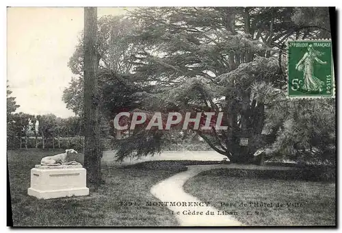 Cartes postales Arbre Montmorency Parc de l&#39Hotel de ville Le cedre du Liban