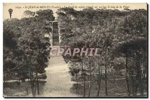 Cartes postales Arbre St Jean de Monts La foret de sapins