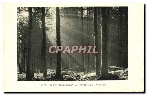 Cartes postales Arbre Plombieres les Bains Rayons sous les sapins