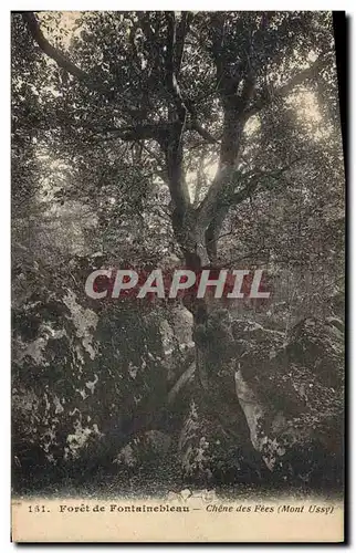 Cartes postales Arbre Foret de Fontainebleau Chene des Fees Mont Ussy