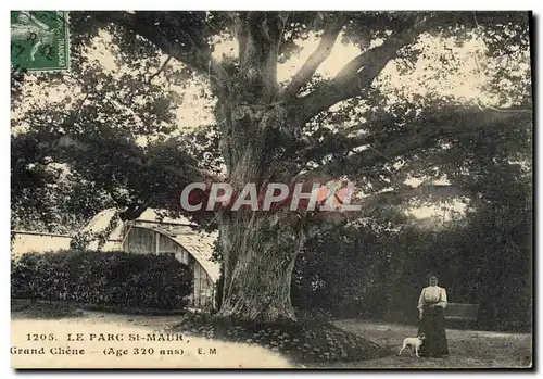 Ansichtskarte AK Arbre Le Parc St Maur Le grand chene