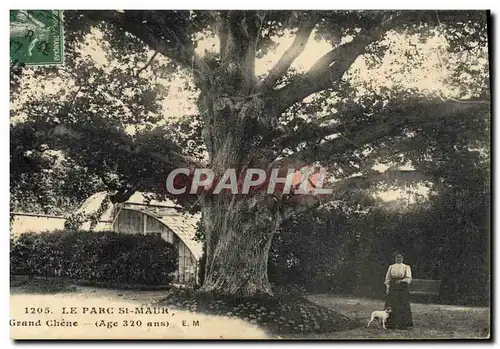 Cartes postales Arbre Le Parc St Maur Le grand chene