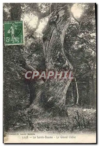 Cartes postales Arbre La Sainte Baume Le grand chene