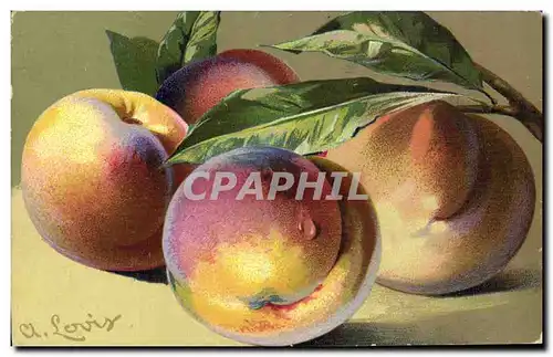 Cartes postales Fantaisie Nature morte