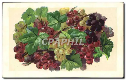 Cartes postales Fantaisie Nature morte Raisins