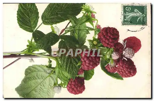 Ansichtskarte AK Fantaisie Nature morte Framboises