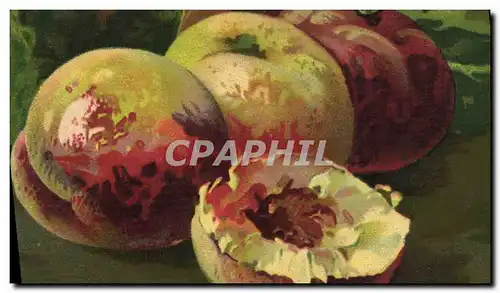 Cartes postales Fantaisie Nature morte