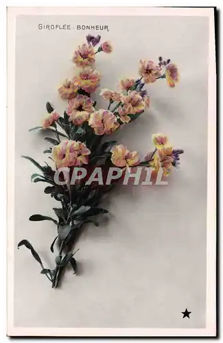 Cartes postales Fantaisie Fleurs Giroflee bonheur