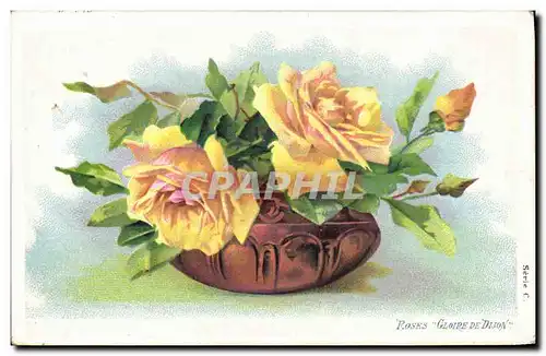 Cartes postales Fantaisie Fleurs Roses Gloire de Dijon