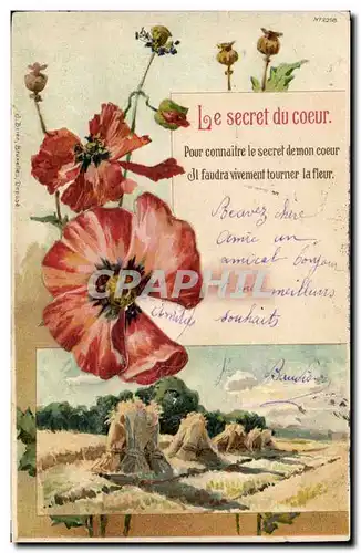 Cartes postales Fantaisie Fleurs Le secret du coeur (carte systeme)