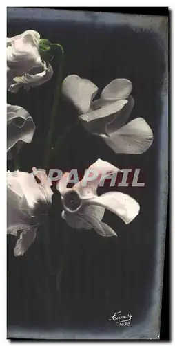 Cartes postales Fantaisie Fleurs