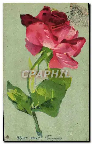 Cartes postales Fantaisie Fleurs Roses Rose Prosperite