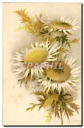 Cartes postales Fantaisie Fleurs