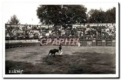 Cartes postales moderne Corrida Course de taureaux Au Pays Landais La course landaise Fete populaire des Landes