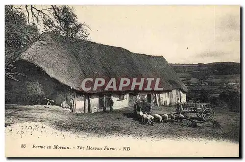 Cartes postales Folklore Ferme en Morvan Moutons