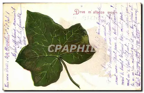 Cartes postales Fantaisie Fleurs Vigne (en relief)