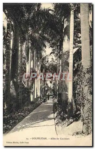 Vintage Postcard Tree Gulf juan Gone of coconuts�