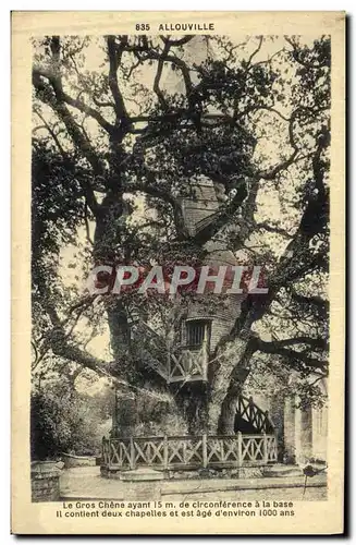 Cartes postales Arbre Allouville Le gros chene