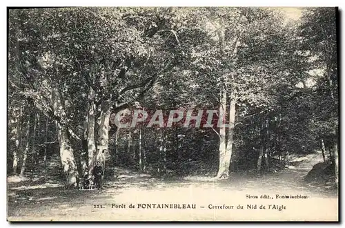 Ansichtskarte AK Arbre Foret de Fontainebleau Carrefour du Nid de l&#39aigle