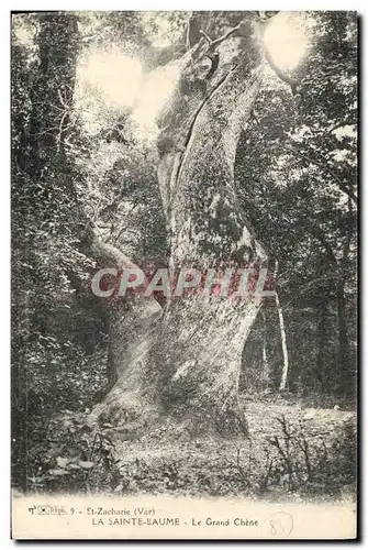 Ansichtskarte AK Arbre La Sainte Baume Le grand chene