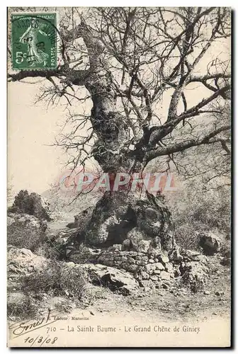 Ansichtskarte AK Arbre La Sainte Baume Le grand chene de Giniez