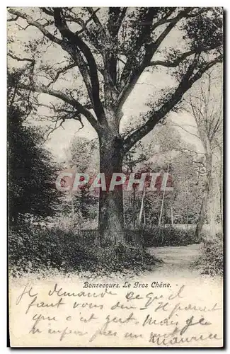 Ansichtskarte AK Arbre Bonsecours Le gros chene