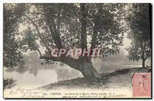 Cartes postales Arbre Creteil Les bords de la Marne L&#39arbre penche