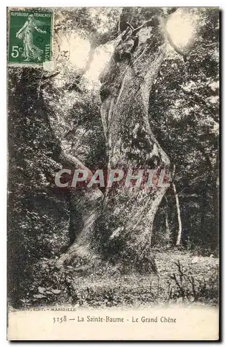 Cartes postales Arbre La Sainte Baume Le grand chene