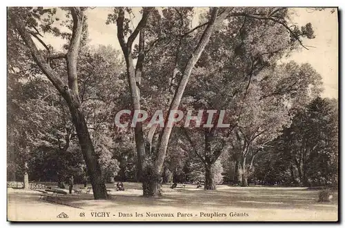 Ansichtskarte AK Arbre Vichy Dans les nouveaux parcs Peupliers geants