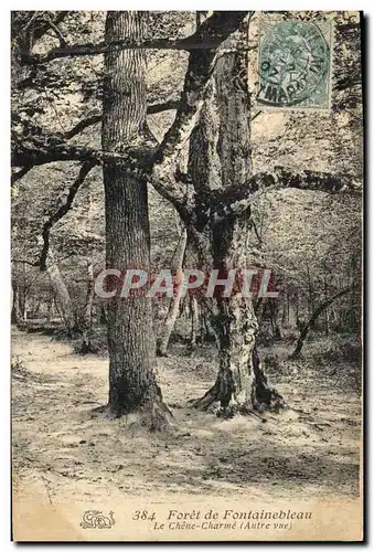 Cartes postales Arbre Foret de Fontainebleau Le chene Charme Autre vue