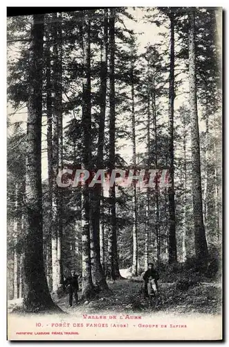 Cartes postales Arbre Vallee de l&#39Aure Foret des Fanges Groupe de sapins