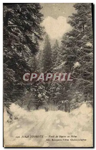 Cartes postales Arbre Jura Foret de sapins en hiver